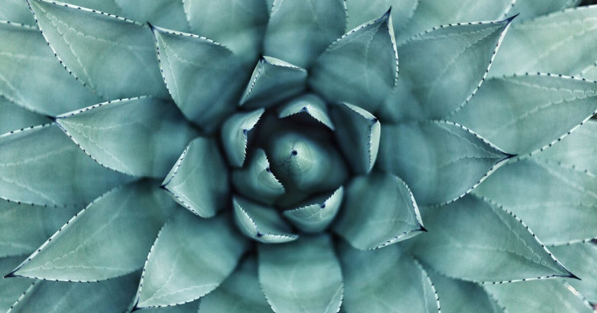 Experienced Massage Therapist Opens Fort Worth Practice in Salon & Spa Galleria